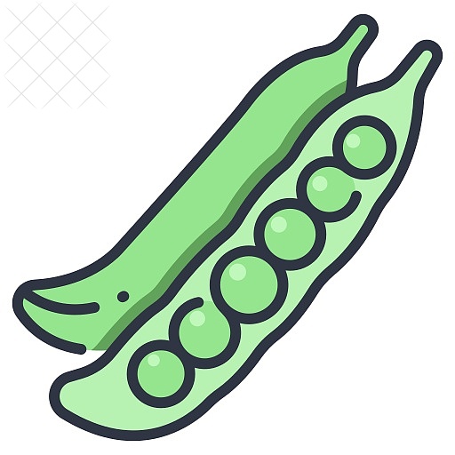 Bean, food, green, healthy, pea icon.