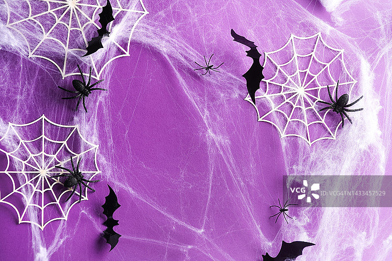萬圣節的背景由蜘蛛網，蜘蛛和黑色蝙蝠在紫色。萬圣節裝飾概念?？植篮涂植赖谋尘芭c復制空間為您的設計圖片素材