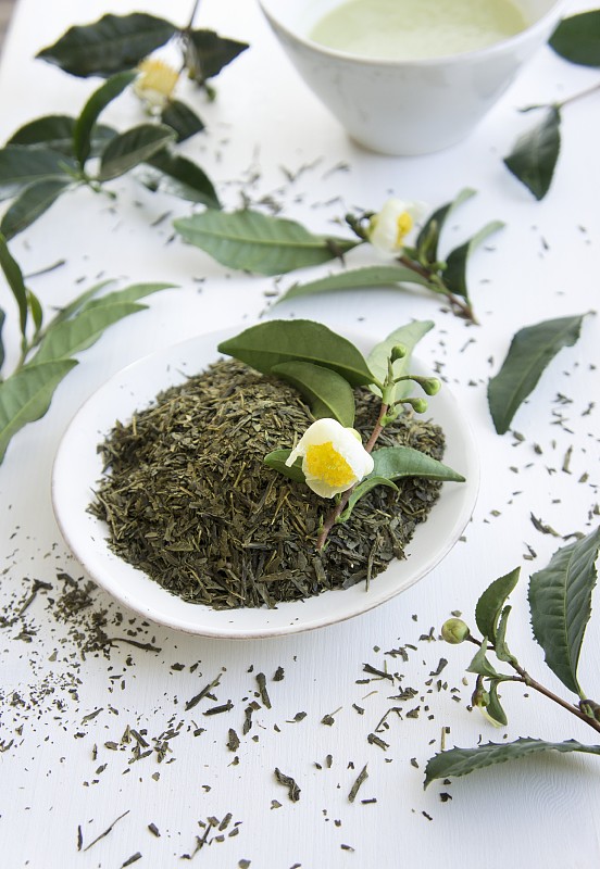 曬干的茶葉和一株開花的茶葉圖片素材