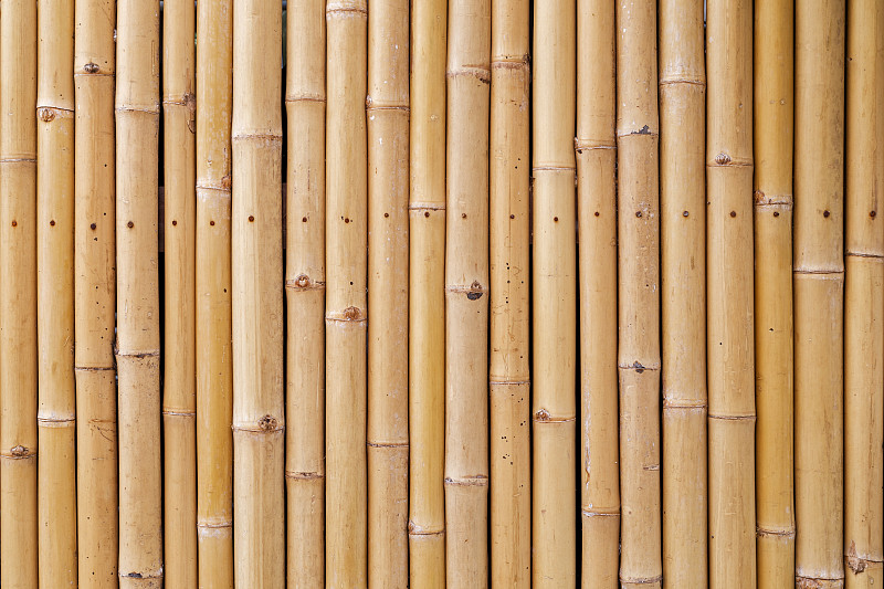 溫暖色調的自然竹墻背景特寫圖片素材
