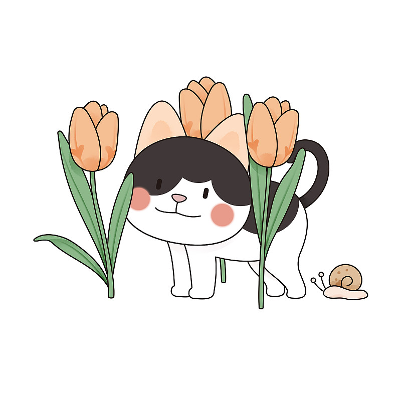 十二月猫与花之郁金香图片下载