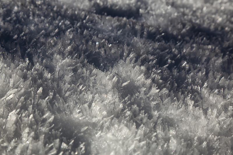 全幀拍攝的冷凍植物在地里圖片素材