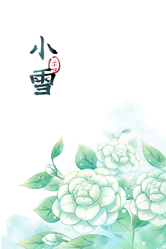 小雪—山茶花，古風水彩二十四節氣系列唯美花卉插畫圖片