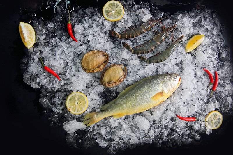 冰冻海鲜鱼类贝类海产海螺图片下载