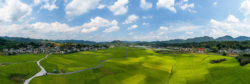 貴州夏天農村稻田全景攝影圖片