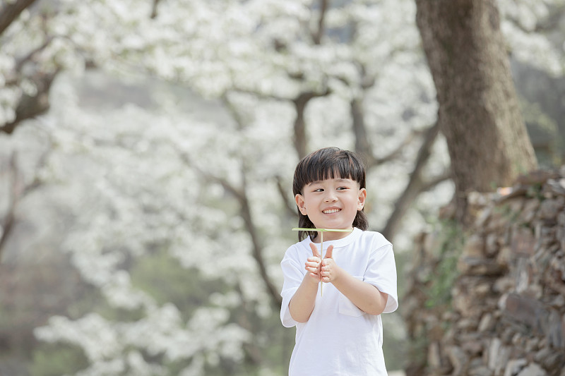 快乐小男孩在户外郊游玩竹蜻蜓游戏图片下载