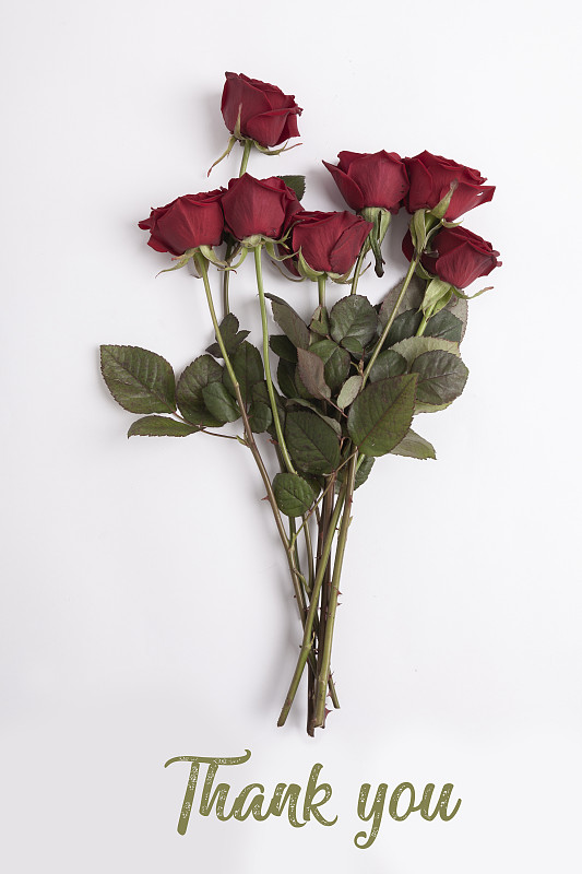 紅玫瑰只是為了表示感謝圖片素材