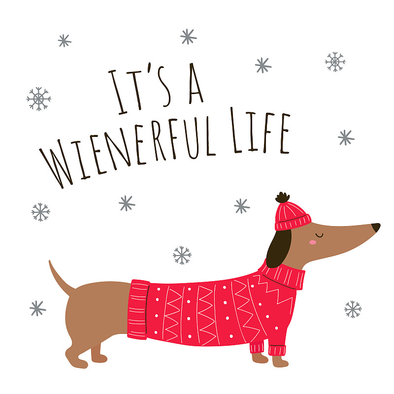 可愛的達克斯獵犬，上面刻著“Wienerful life”。圣誕節的字符。穿著毛衣和帽子的卡通臘腸狗。圣誕狗。達克斯狗衣服。矢量插圖。孤立的白色背景。插畫圖片