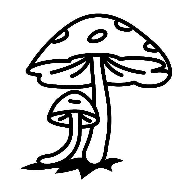 蘑菇插畫圖片