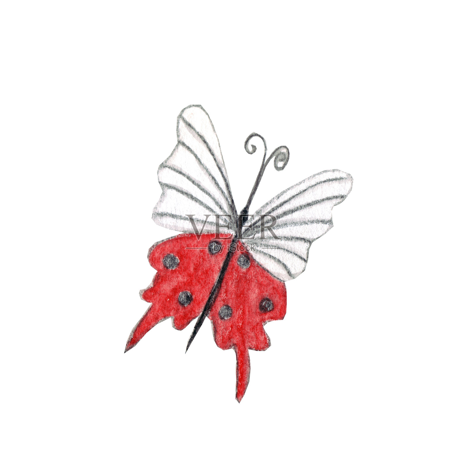 一只小小的神秘蝴蝶——象征着觉醒、春天、爱情。插画图片素材