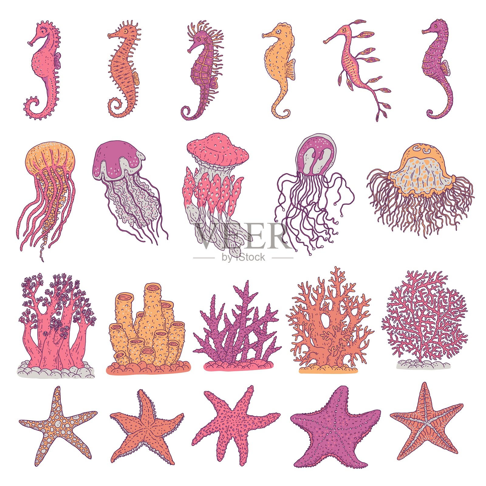 海马、水母、海星和珊瑚的不同形态。矢量集海洋动物水下生活。涂鸦素描线孤立插图。插画图片素材