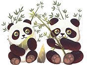 熊猫和他爱的竹子笋图片素材