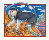 精美猴子图案，代表中国猴年图片素材