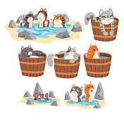 有趣的猫采取日本温泉浴集，可爱的宠物动物享受水疗程序矢量插图图片素材