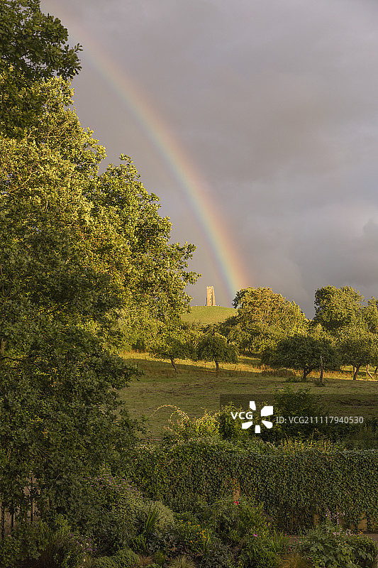 彩虹背后的乡村郁郁葱葱的树木图片素材