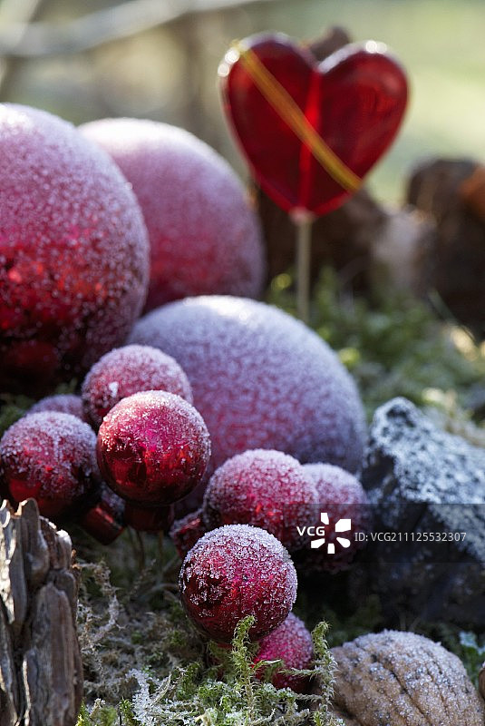 冬天的花园里，用干柠檬、肉桂、冷杉球果、核桃和苔藓装饰着红色的玻璃心，上面覆盖着白霜图片素材