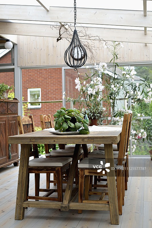 温室里的乡村餐厅，吊灯下的木桌上放着盆栽草药，玻璃墙边是白色夹竹桃丛图片素材