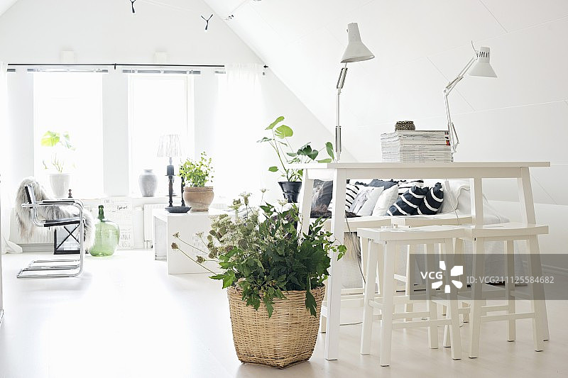 白色的柜台和凳子旁边的柳条植物种植在苍白的地板和休息区在背景改装的阁楼图片素材