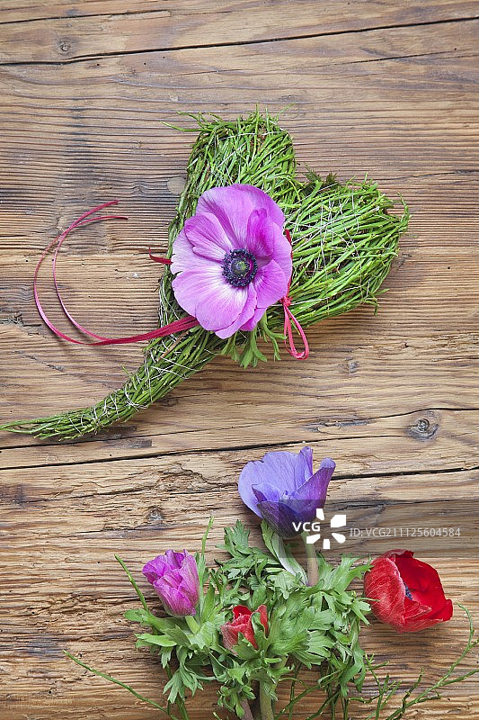 春天的越桔茎系成心形和紫色的银莲花图片素材