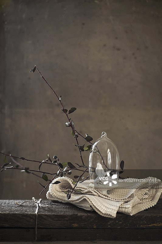 玻璃罩下的小瓷器鸟，白色桌布上的树枝图片素材