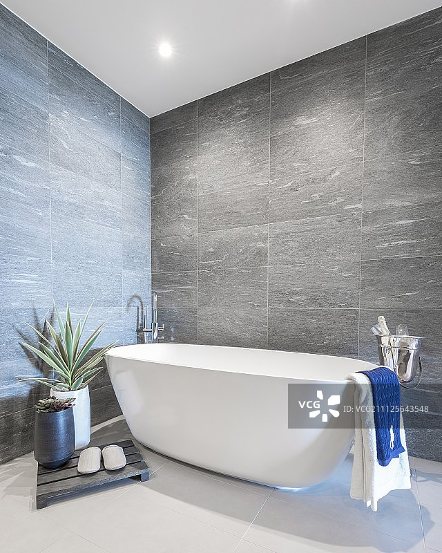 独立浴缸周围的室内植物和香槟冷却器在设计师的浴室图片素材