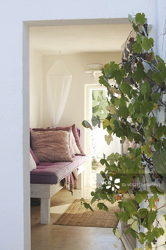 入口旁边的葡萄藤上挂着葡萄，沙发上放着暗粉色的靠垫图片素材