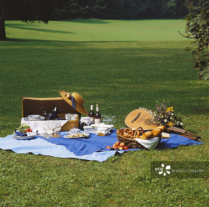 美丽的草坪野餐在夏天的时间图片素材