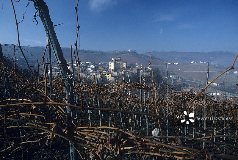意大利皮埃蒙特巴罗洛葡萄园对面的葡萄酒村图片素材