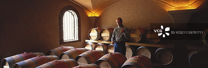 测试酒桶中的葡萄酒，Steenberg Estate, Constantia，南非图片素材