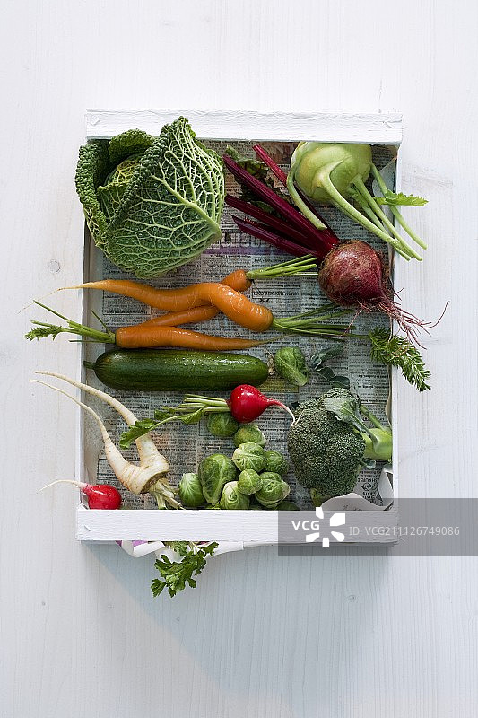 一箱蔬菜，里面有羽衣甘蓝、胡萝卜、黄瓜和萝卜图片素材