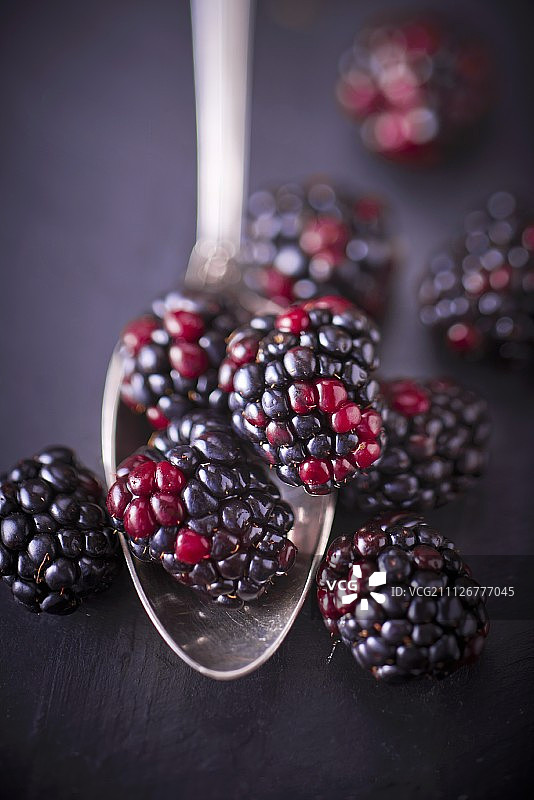 勺子上的黑莓图片素材