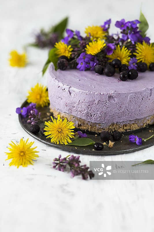 蓝莓芝士蛋糕，蒲公英花图片素材