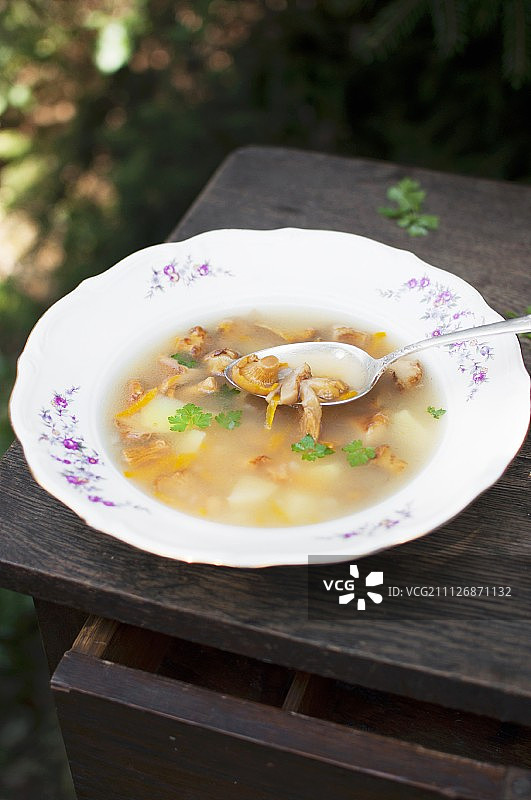 鸡油菌蘑菇汤配土豆和新鲜欧芹图片素材
