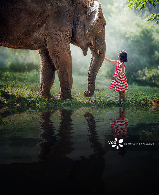 大朋友:小女孩和大象图片素材