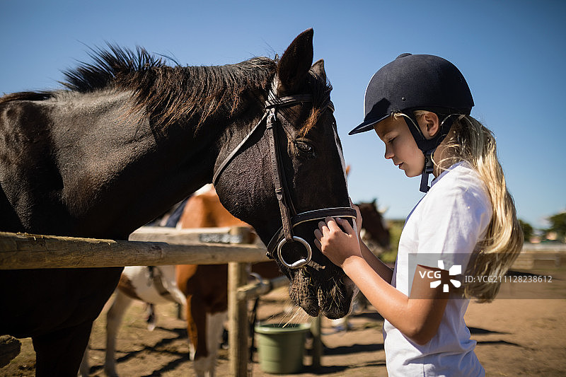 在一个阳光明媚的日子里，女孩在牧场里抚摸着那匹棕色的马图片素材