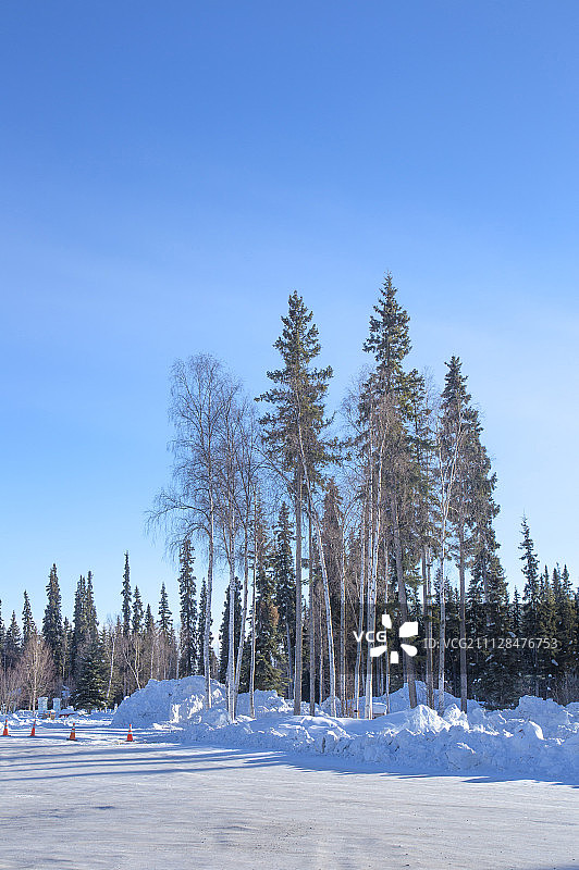 天空,雪景,雪,树图片素材