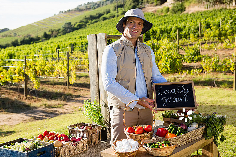 一个快乐的男人站在葡萄园的蔬菜摊上图片素材