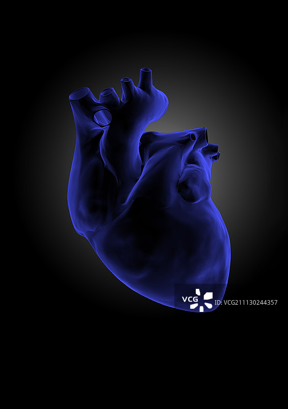 人类心脏的3D图形图片素材
