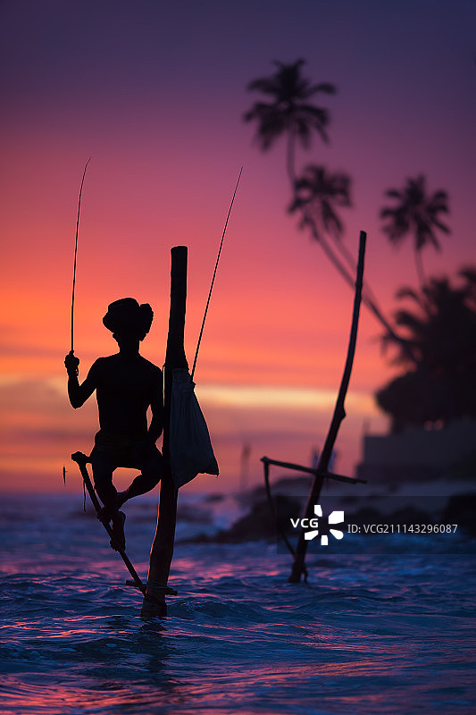 斯里兰卡的高跷渔民图片素材