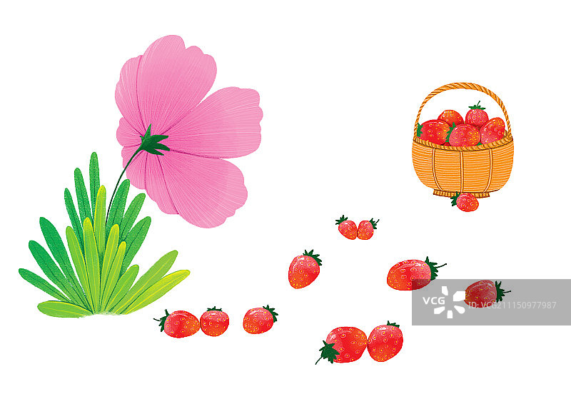 唯美背景元素组图共3000多幅-草莓和花图片素材