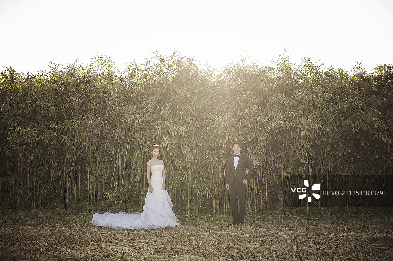 新郎和新娘站在竹林里图片素材