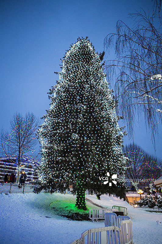 圣诞树,西雅图,美国,北美洲,利文沃斯图片素材