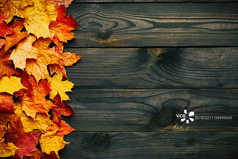 纹理复古乡村木质背景与秋天黄叶图片素材