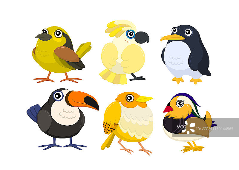 卡通鸟类集合素材，六种鲜艳鸟类图片素材