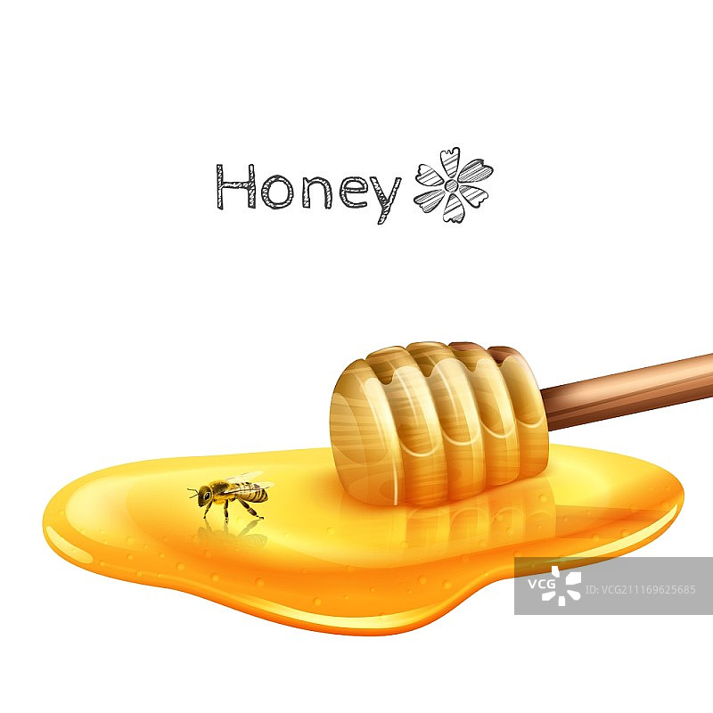 甜蜂蜜水坑与木棍和蜜蜂现实的矢量插图。有木棍的蜂蜜水坑图片素材