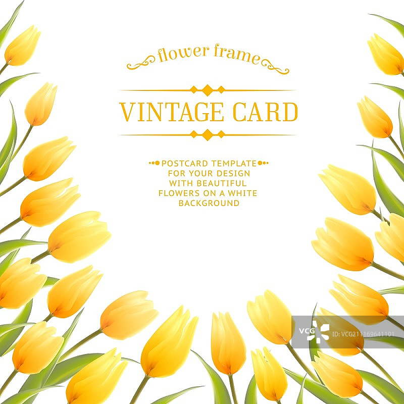郁金香花束为您的卡片设计。矢量插图。图片素材