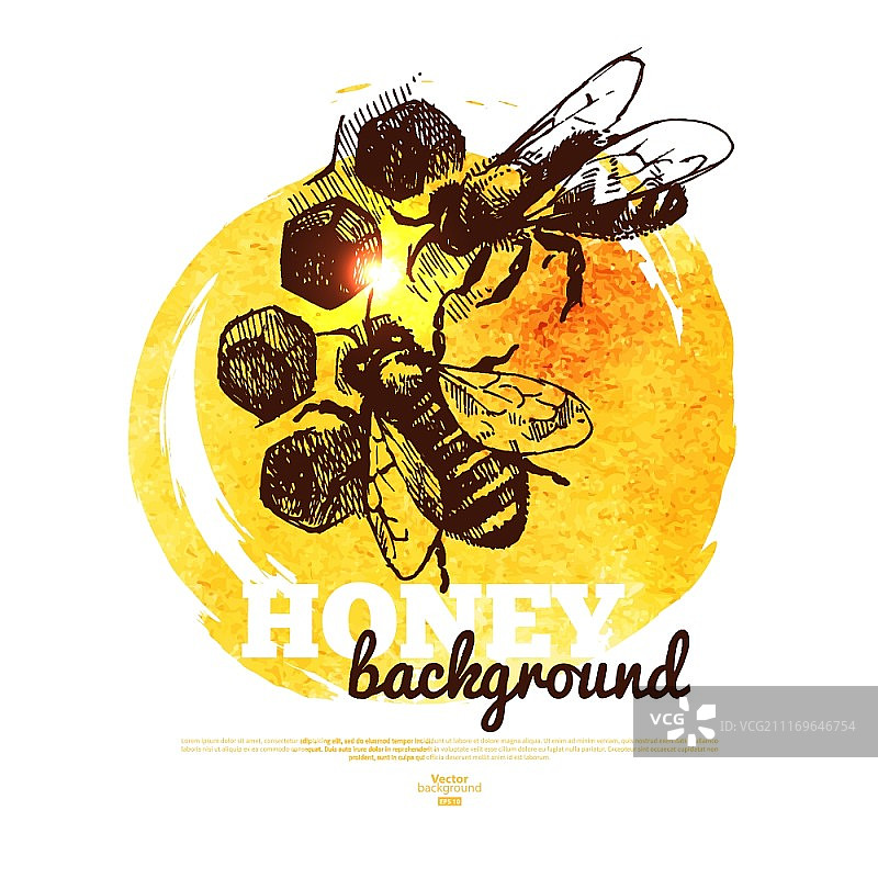 蜂蜜横幅手绘素描和水彩插图图片素材