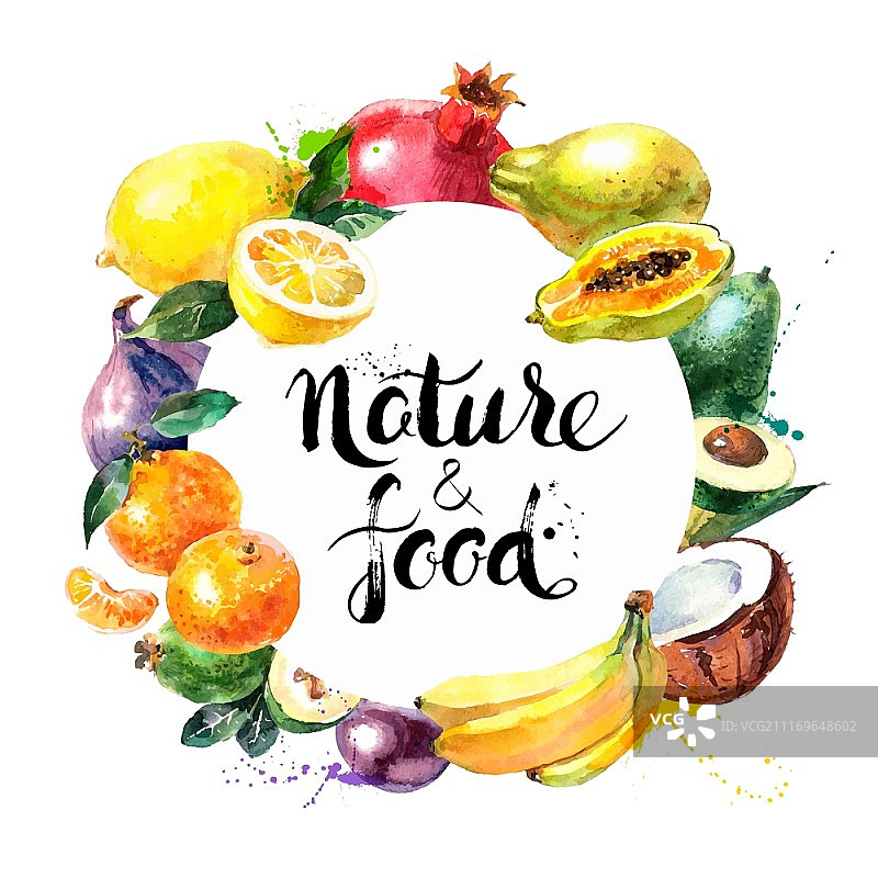 生态食物菜单背景。水彩手绘水果。矢量图图片素材
