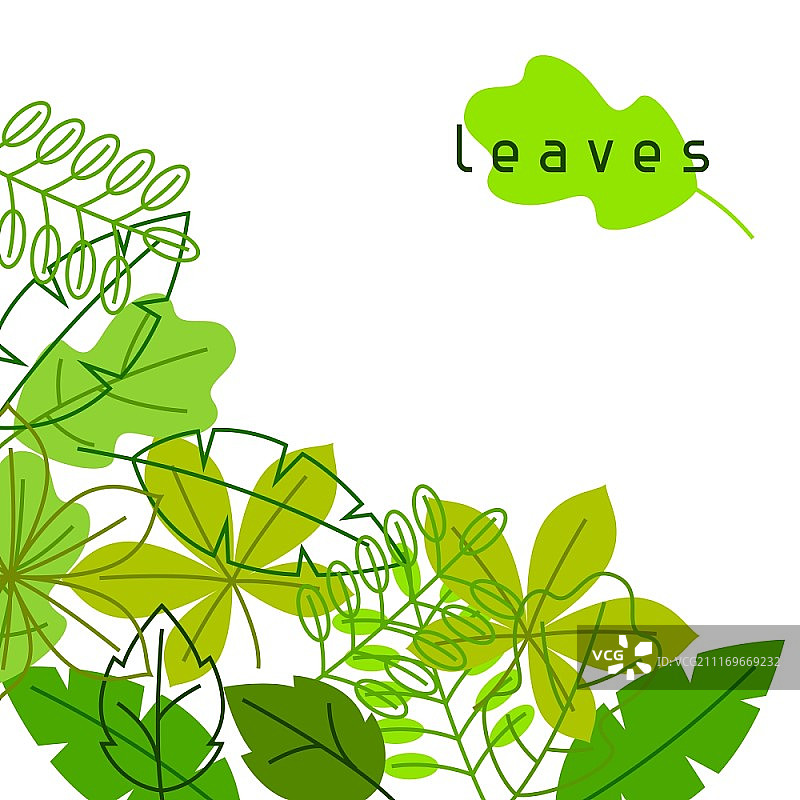 自然卡片与风格化的绿叶。春天或夏天的树叶。自然卡片与风格化的绿叶。春天或夏天的树叶。图片素材