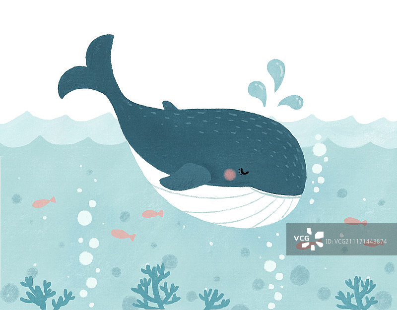 可爱鲸鱼插画图片素材